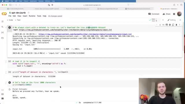 The tiny-shakespeare dataset loaded in the notebook — ~1 MB of plain text, 65 unique characters.