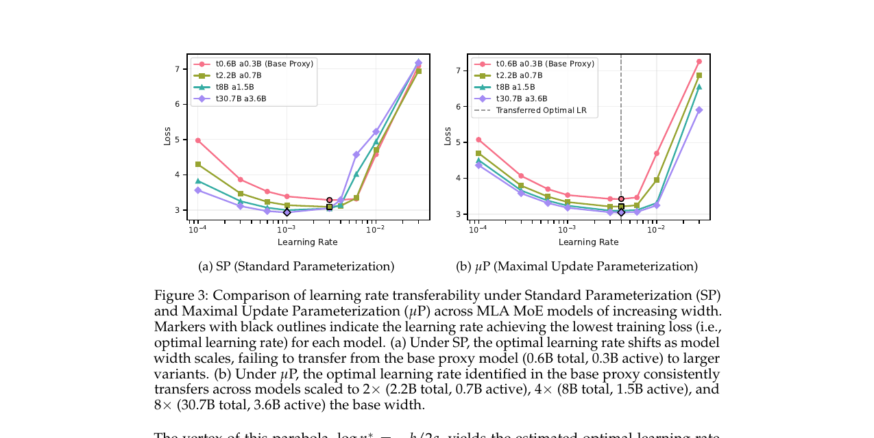 Learning rate transferability under Standard Parameterization versus μP across width-scaled MLA MoE models